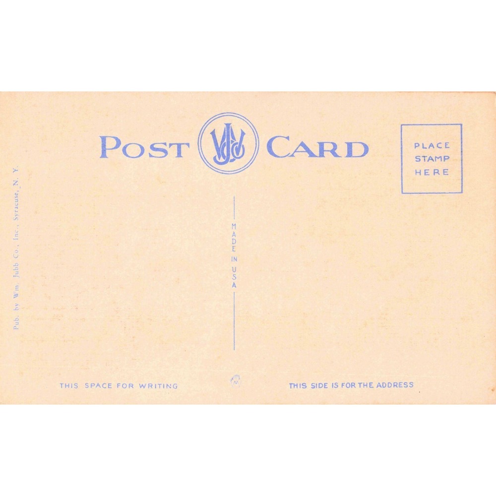 Vintage Willow Channel Westminster Park Thousand Islands NY Linen Postcard 42486 - Picture 2 of 2